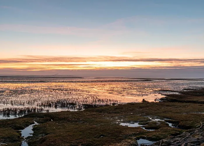 Deichperle-1 By Interhome نورديش